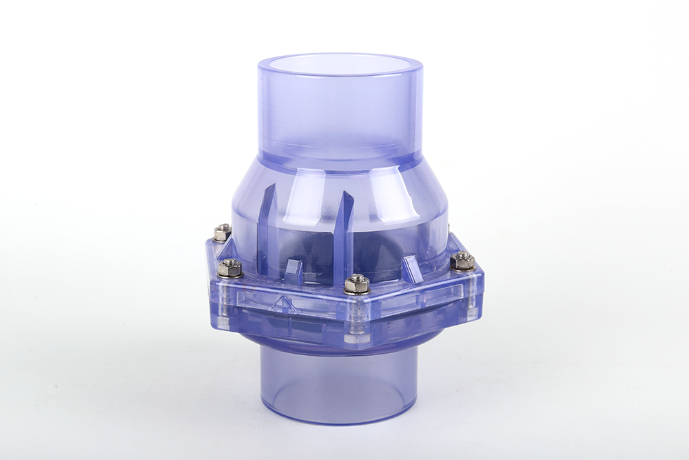 南宝镇透明翻板式止回阀